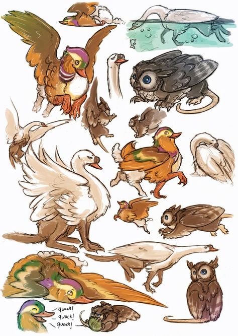 Types Of Griffins, Cute Griffin Art, Griffin Fursona, Bird Griffin, Griffin Oc, Cute Creature Concept Art, Fictional Animals, Mixed Animals, Animal Hybrids