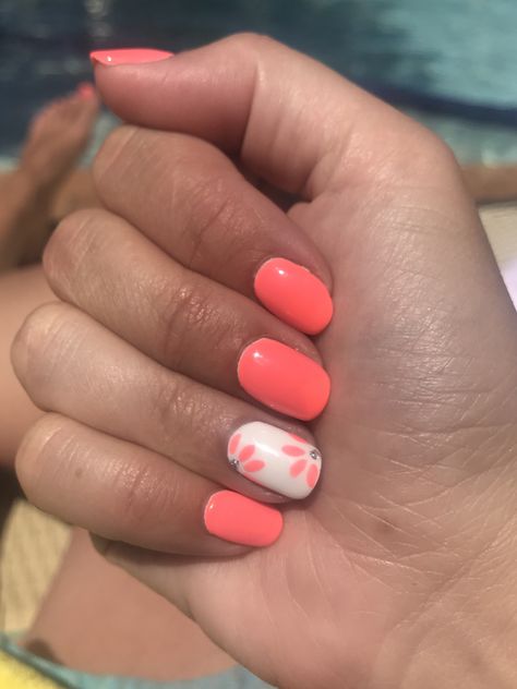 Spring Nails Coral, Nails Coral Pink, Coral Nails With Flower Design, Coral Manicure Ideas, Coral Disney Nails, Beach Nails Dip, Mail Colors For The Beach, Peach Nail Ideas Coral, Simple Coral Nails