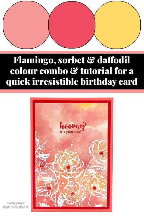 Stampin Up Sweet Sorbet, Hello Irresistible Dsp, Hello Irresistible, Daffodil Color, Colour Combo, Colour Inspiration, Colour Combination, Paper Craft Projects, Simple Cards