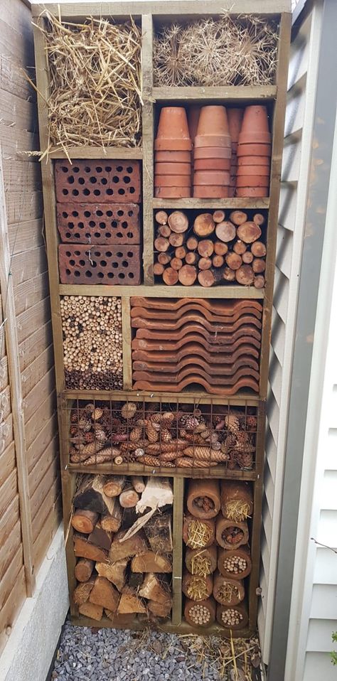 Dream House Garden, Arizona Decor, Bee Hotel, Bug Hotel, Mason Bees, Insect Hotel, Garden Bugs, Garden Insects, Bee Friendly