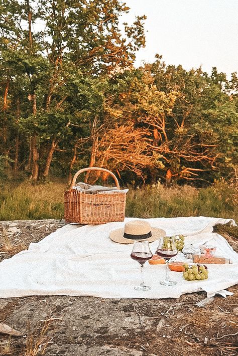 Romantic picnic in the swedish forrest Romantic Picnic, Romantic Picnics, Picnic Date, Picnic Time, Picnic Basket, Outdoor Dining, Palm Trees, Road Trip, Cottage