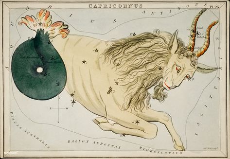 Sidney Hall, Constellation Chart, Zodiac Signs Pictures, Capricorn Art, Capricorn Constellation, Astrology Stars, Winged Horse, Free Illustration Images, Constellation Tattoos