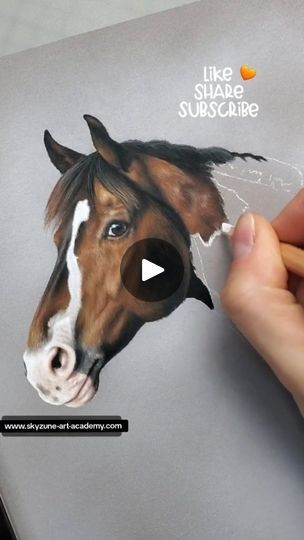 How To Draw Horse Hair, Diy Horse, Horse Diy, Horse Drawings, Art Academy, Horse Hair, Pablo Picasso, Artist Artwork, Art Artist