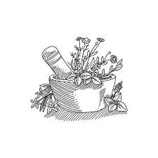 Mortar Pestle Illustration, Mortar And Pestle Illustration, Mortar And Pestle Tattoo, Mortar And Pestle Drawing, Apothecary Drawing, Mortar And Pestle Logo, Apothecary Vibes, Apothecary Logo, Web Design Mockup