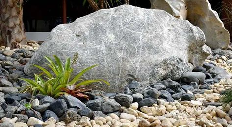 Surround Boulders With Pebbles or Gravel Boulder Garden, Garden Pebbles, Natural Landscaping, Alpine Garden, Small Front Yard Landscaping, Landscaping With Boulders, Small Front Yard, Stone Walkway, Invasive Plants