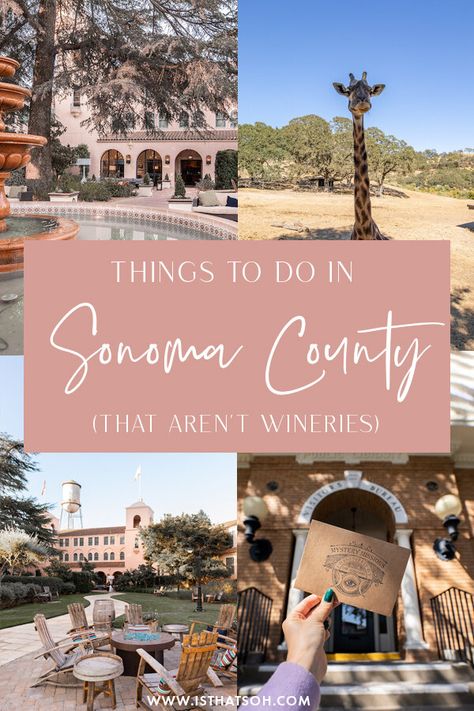 BEYOND THE VINE: EXPLORING SONOMA COUNTY BEYOND VISITING WINERIES — Soheila Things To Do In Sonoma California, Weekend In Sonoma, Destination Travel, Sonoma County California, California Trip, Sonoma California, Travel America, 50th Bday, Sonoma Valley