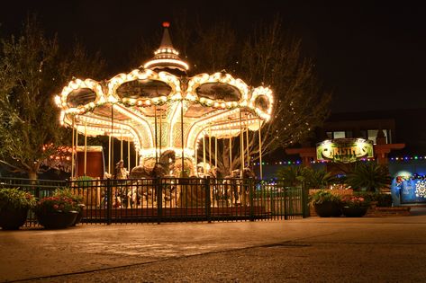 Gothic Carousel, Carousel On Fire, Abandoned Carousel Aesthetic, Carousel At Night, Valley Fair, Abandoned Carousel, Carousel Horses, Carousel, Drawing Reference