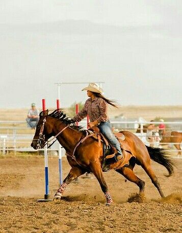 Pole Bending Horse, Rodeo Photography, Pole Bending, Rodeo Time, Country Girl Life, Western Photography, Barrel Racing Horses, Rodeo Horses, Barrel Horse