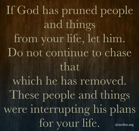 Its pruning season. It may be painful, but necessary. #enlightenedchristian #enlightened #God #prune #removed #letgo #dontchasepeople #newplans #release #better #faith #believe #open #receive #expectations God's Pruning Process, God Pruning Quotes, Pruning Season Quotes, Pruning Season God, Pruning Quotes, Seasons Quotes, Pray Everyday, Jesus Kingdom, God's Plans