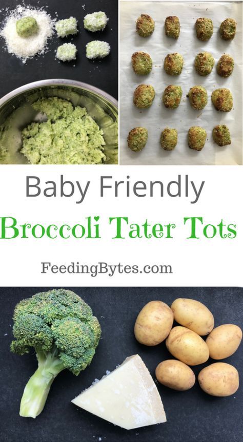 Broccoli tater tots are a perfect finger food for your baby and a healthy snack for you. These little guys tick all the boxes. Easy – tick! Fast – tick! The winning broccoli+cheese combo – tick! Appropriate for babies 6 month+ and toddlers – tick! Freezer friendly – tick! Healthy Finger Food, Broccoli Tater Tots, Fingerfood Baby, Broccoli Potato, Food For Babies, Toddler Finger Foods, Healthy Finger Foods, Baby Led Weaning Recipes, Healthy Baby Food