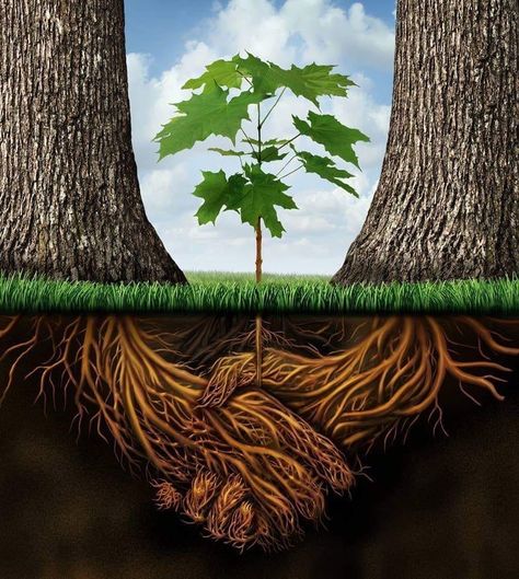 Save Trees, Good Neighbor, Plant Roots, Save Earth, Environmental Art, Mother Earth, Ecology, Beautiful Nature, Stock Illustration