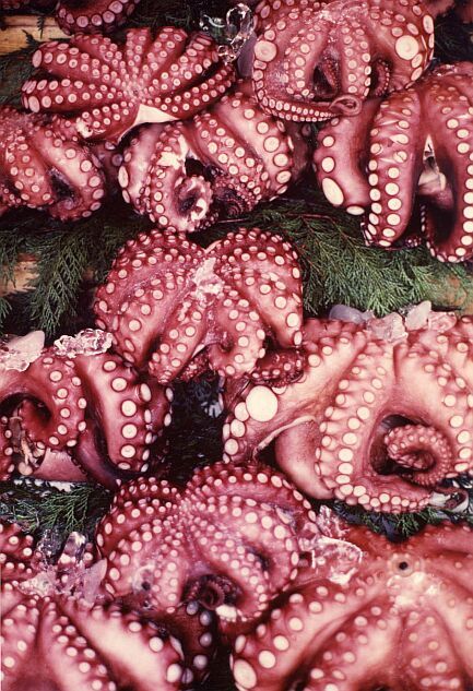 Brightly dyed octopus displayed at a food market in Tokyo, Japan Pink Octopus, Octopus Squid, Life Under The Sea, Spanish Tapas, I Believe In Pink, Underwater Life, Water Life, Ocean Creatures, Sea And Ocean