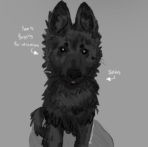 Older Brother, Sirius Black, I Love, Black, Art