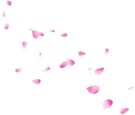 Rose Petals Falling Video, Falling Flower Petals, Falling Video, Flower Falling, Rose Petals Falling, Png Video, Petals Falling, Falling Petals, Leaf Png