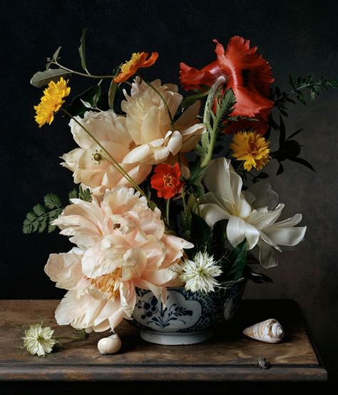 Sharon Core takes an art-historical approach to photography. In 1782, 2011, she recreates an 18th-century still-life painting of flowers. Sharon Core, Still Life Artists, Still Life Flowers, Home Vegetable Garden, Garden Photography, Floral Photography, Deco Floral, Plant Pictures, Arte Floral