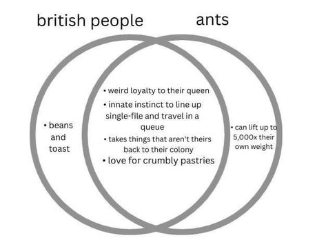 British Memes, British Humor, Snapchat Text, Venn Diagram, British People, Eye Roll, Read Image, Text Posts, Ants