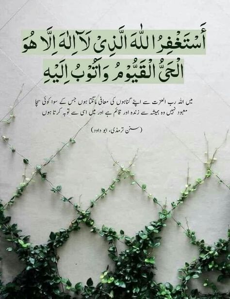 Eid Ul Fitr Decorations, Prophet Ibrahim, Islamic Dp Quotes, 2 Line Urdu Poetry, Beautiful Dua, Winter Instagram, Islamic Post, The Sacrifice, Allah Photo