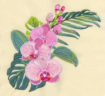 Set with embroidery designs of Orchids Orchid Embroidery, Embroidery Stitches Beginner, Embroidery Design Sets, Flower Embroidery Designs, Rainbow Flowers, Hand Embroidery Patterns, Orchid Flower, Hand Embroidery Designs, Embroidery Flowers