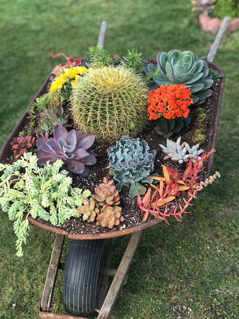 Succulent Wheelbarrow Garden, Succulent Wheelbarrow, Wheelbarrow Planter, Outdoor Gardens Landscaping, Wheelbarrow Garden, Wheel Barrow, Patio Flowers, Stone Landscaping, Succulent Garden Diy