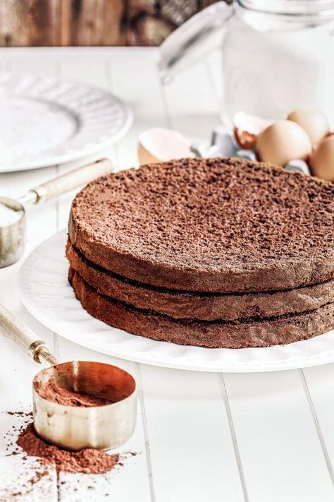 Chocolate Genoise Recipe - Sweetly Cakes Perfect recipe, soft and light Recipe With Cocoa Powder, Chocolate Sponge Cake Recipe, Layer Cake Au Chocolat, Easy Sponge Cake Recipe, Light Chocolate Cake, Cake Preparation, Chocolate Roll Cake, Sponge Cake Recipe, Chocolate Sponge Cake