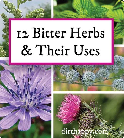 Herbs And Their Uses, Bitter Herbs, Biblical Times, Herbs List, Spice Garden, Medicinal Herbs Garden, Types Of Herbs, Herb Gardens, Herb Gardening