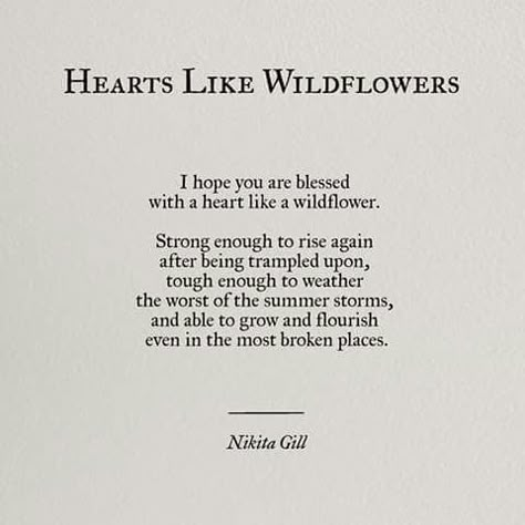 Hearts like wildflowers He Doesn't Touch Me Anymore, Wildflower Sleeve, Nikita Gill, Under Your Spell, Motivation Monday, Piece Of Paper, Poem Quotes, A Poem, Wonderful Words