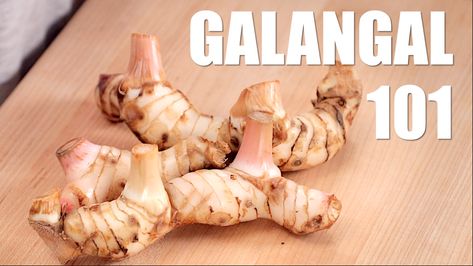 GALANGAL: Everything You Need to Know Hot Thai Kitchen, Thai Recipes Authentic, Thai Soup, Thai Kitchen, Laos Food, Kaffir Lime Leaves, Thai Cooking, The Holy Trinity, Beef And Potatoes