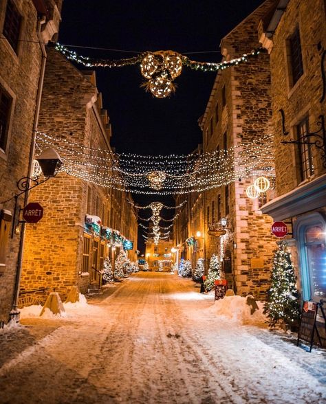 Canada Christmas, Old Quebec, Old Montreal, Merry Christmas Funny, Canada Photos, Christmas Travel, Magical Places, Canada Travel, Nouvel An