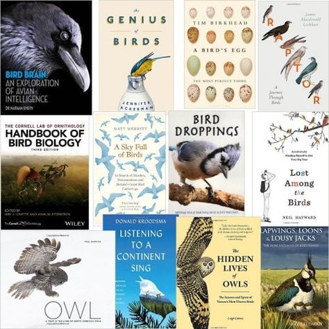 Best Bird Books of 2016 Books About Birds, Books About Animals, What Is Intelligence, Tbr Books, Native American Proverb, Future Library, Birds Nature, Read More Books, New Year's Resolution