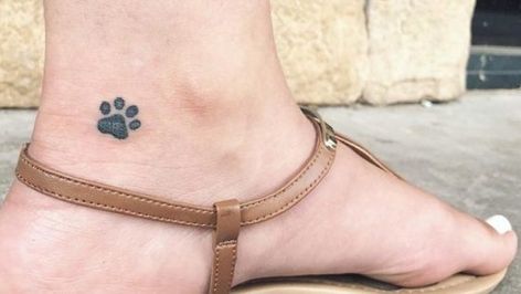 50+ Best Dog Memorial Tattoo Ideas – Page 2 – The Paws Small Paw Print Tattoo, Dog Paw Print Tattoo, Dog Memorial Tattoo, Paw Print Tattoos, Cat Paw Print Tattoo, Cat Paw Tattoos, Memorial Tattoo Ideas, Memorial Tattoo Designs, Dog Memorial Tattoos