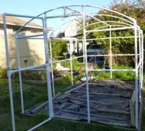 PVC Cold frame Pvc Greenhouse, Greenhouse Frame, Greenhouses For Sale, Commercial Greenhouse, Build A Greenhouse, Cats House, Pvc Pipes, House Outdoor, Small Greenhouse