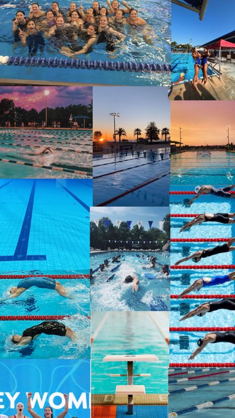 Swimming Collage, Swimming Wallpaper, Swimming World, Beach Wall Collage, Swimming Quotes, Synchronized Swimming, Competitive Swimming, Swim Meet, Crush Advice