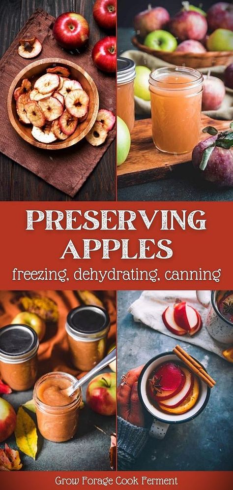 Are you wondering how to preserve apples to enjoy them beyond the fall season? We've got you covered with 12 diverse techniques, from canning to freezing, that will help you enjoy apples throughout the year. Plus, delight in creating homemade apple butter or cider from your preserved bounty. For more ways to preserve apples, food preservation ideas, and Easy Fall Recipes & Fall Seasonal Foods check out grow forage cook ferment! Apples Canning, Preserve Apples, Preserving Apples, Easy Fall Recipes, Seasonal Recipes Fall, Persimmon Recipes, Elderberry Recipes, Homemade Apple Butter, Easy Autumn Recipes