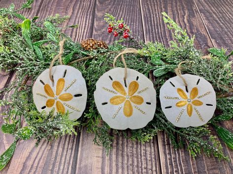 Excited to share this item from my #etsy shop: Set Of Three Sand Dollar Ornaments, Sand Dollar Ornaments, Christmas Ornament, Ornament, Beach Ornament , Ocean Ornaments, Sand Dollar #sanddollarornament #christmasornament #holidayornament #christmas #roundornament #shellornament #beachornament #oceanornament #ornament Driftwood Christmas Decorations, Sand Dollar Ornaments, Dollar Painting, Beach Townhouse, Ocean Ornaments, Sand Dollar Craft, Painted Sand Dollars, Shells Craft, Dollar Art