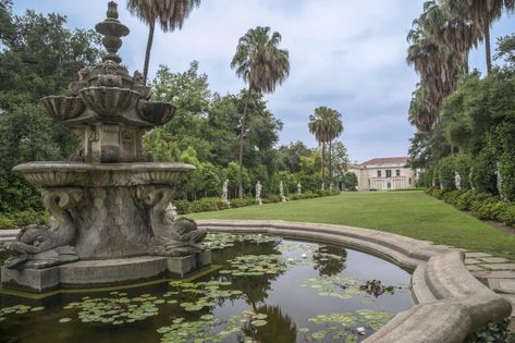 Huntington Gardens, Dream House Aesthetic, Huntington Library, Gardens Of The World, Garden Workshops, California Garden, Library Art, Desert Garden, Chinese Garden