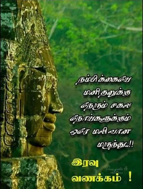 Tamil Wishes, Best Quotes Images, Bible Words Images, Bible Words, Good Afternoon, Good Life Quotes, Image Quotes, Best Quotes, Life Is Good