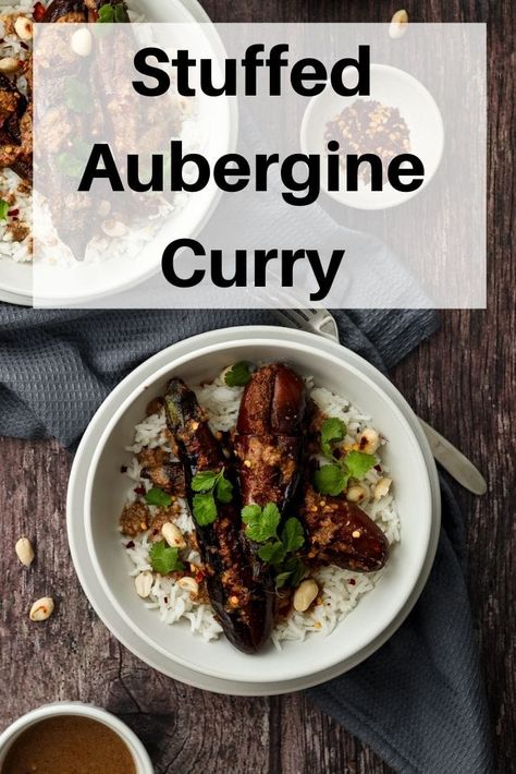 Homemade Curry Recipe, Vegan Curries, Stuffed Aubergine, Aubergine Curry, Baby Eggplant, Vegan Curry Recipes, Vegetarian Mains, Homemade Curry, Raw Peanuts