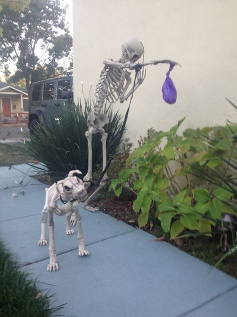 Halloween Funny Decorations, Halloween Skeleton Animals, Funny Skeleton Setups, Hilarious Skeleton Decorations, Skeleton Halloween Decorations, Skeleton Walking Dog, Skeleton Display, Skeleton Poses, Skelton Yard Decorations Funny