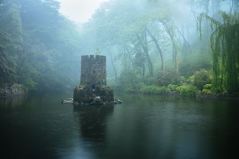 Mysterious lake | Sintra, Portugal | James Mills | Flickr Red Border Collie, English Shepherd, Castle Mansion, Dog Breeder, The Grove, Dark Forest, Science And Nature, Abandoned Places, Green Backgrounds