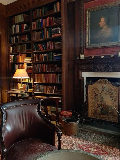 Dark Academia Aesthetic House, Victorian House Aesthetic, Dark Academia Furniture, Dark Academia House, Dark Academia Living Room, Vintage Home Library, Ornate Fireplace, Academia House, Academia Room