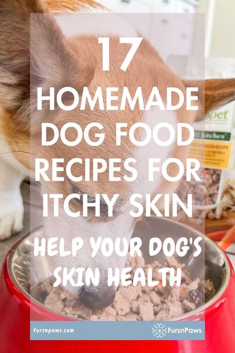 Homemade Dog Food For Dogs With Allergies Printable List Of Toxic Foods For Dogs, Natural Remedy For Dog Skin Allergies, Diy Allergy Relief For Dogs, Small Dog Homemade Food, Homemade Dog Food For Skin Allergies, Homemade Dog Food Recipes For Skin Allergies, Homemade Dog Food Recipes For Itchy Skin, Homemade Dog Food No Chicken, Diy Dog Treats For Itchy Skin