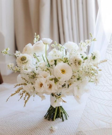 All White Fall Wedding Bouquet, Feb Wedding Flowers, Bride Small Bouquets, White Natural Wedding Bouquet, Timeless Elegant Wedding Bouquet, Wedding Day Bouquet, White Flower Boquettes, White Champagne Wedding Flowers, Wispy Wedding Bouquet