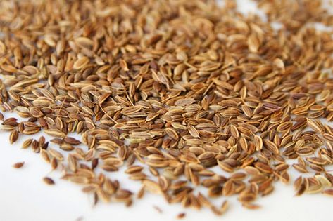 Dill Seeds, Pureed Soup, Spice Shop, Roasted Meat, Serious Eats, Coconut Recipes, European Food, Root Vegetables, Hearty Meals