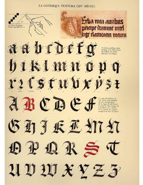 Calligraphie claude mediavilla ductus Calligraphy Letters Alphabet, Gothic Calligraphy, Calligraphy Fonts Alphabet, Gothic Lettering, Writing Fonts, Writing Systems, How To Write Calligraphy, Calligraphy Practice, Calligraphy Handwriting