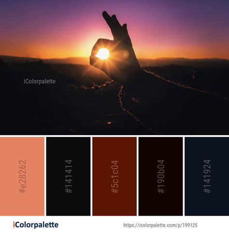 Color Palette ideas from 1137 Sunlight Images | iColorpalette Hunger Games Color Palette, Harmonious Colours, Palettes Color, Sky Sunrise, Color Palette Ideas, Palette Ideas, Morning Sky, School House, Find Color