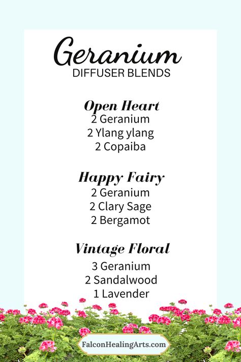 Geranium Diffuser Blend, Best Essential Oil Diffuser, Doterra Diffuser Blends, Heart Opening, Aromatherapy Essential Oils, Essential Oil Diffuser Blends Recipes, Victorian Times, Essential Oil Diffuser Recipes, Oil Diffuser Recipes