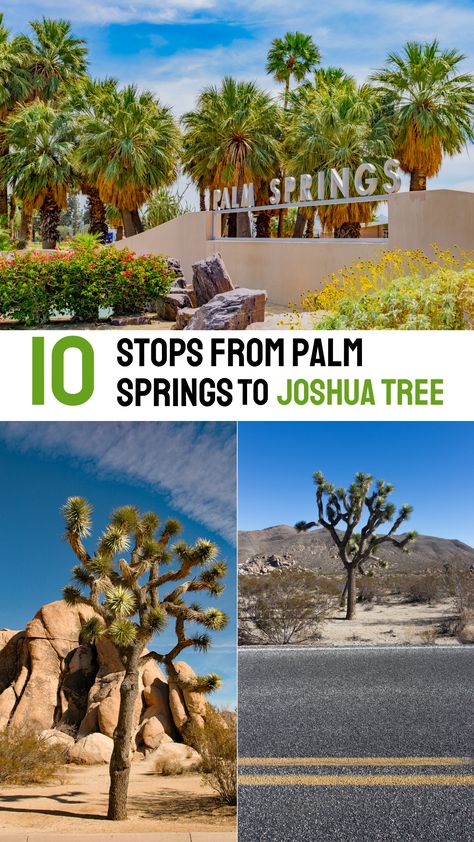 10 STOPS FROM PALM SPRINGS TO JOSHUA TREE NATIONAL PARK (ITINERARY INCLUDED) Palm Springs What To Do, Palm Springs Joshua Tree Itinerary, Ladder Canyon Palm Springs, Palm Springs With Kids, Palm Springs Winter, Palm Springs Itinerary, Joshua Tree Hikes, Palm Springs Restaurants, Joshua Tree Park