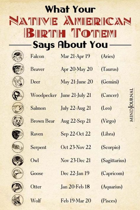 Check out your native American totem and what secrets it reveals about your personality! #birthtotem #birthtotem #nativeamericanastrology #zodiacpersonallity #totemanimal #totemsymbol Native American Star Signs, Native American Birth Signs, Native American Birth Totem, Native American Totem Animals, Native American Beliefs Spirituality, Native American Gods And Goddesses, Native American Way Of Life, Native American Deities, Navajo Words And Meanings