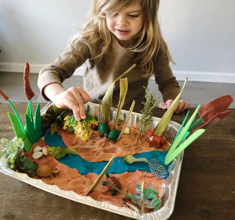 River Preschool Activities, Ecosystems Diorama, First Grade Homeschool, Homeschool Unit Studies, River Model, Pond Habitat, Pond Crafts, Habitat Activities, Environmental Activities