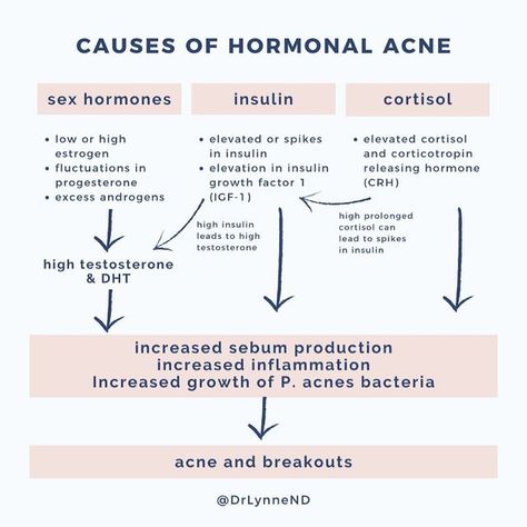 Dr Lynne ND | PMS & PERIODS ✨ on Instagram: "Hormonal acne is COMPLEX. The main takeaway from this is that causes of hormonal acne are interlinked. It’s never just one hormone which is why a comprehensive approach is needed to treat hormonal acne. - elevated androgens such as testosterone and DHT levels increase sebum production, inflammation, and the growth of P. acnes bacteria - Insulin spikes happen for some people and this directly affects our skin through sebum overproduction and inflamma Hormonal Chin Acne, Treat Hormonal Acne, Chin Acne, Female Hormone, Skin Facts, High Testosterone, Healthy Hormones, Feminine Health, Acne Causes